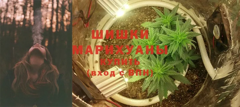 МАРИХУАНА OG Kush  Сольцы 